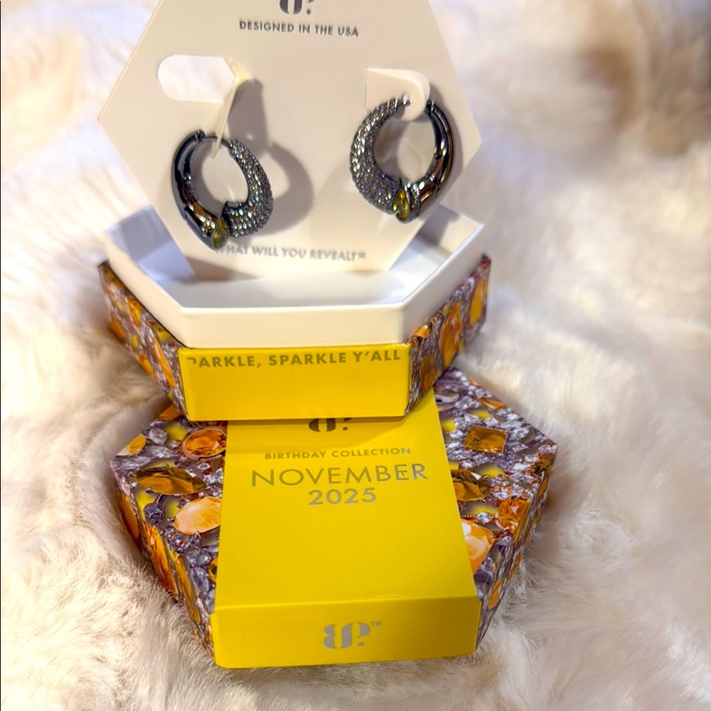 November Collection Silver Hoop Earrings